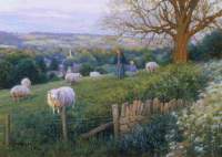 Cotswold Evening